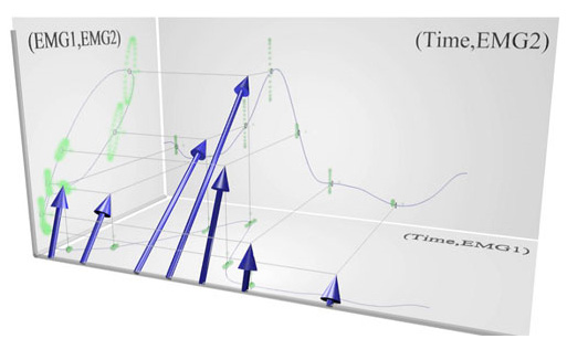 Advanced statistics in biomechanics